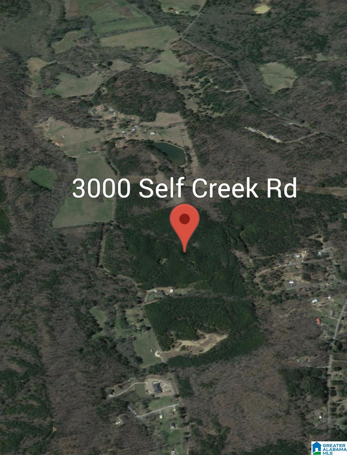 3000 Self Creek Road, Unit LOT 1 Warrior, AL 35180 - Photo 1 of 4