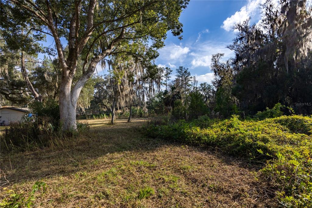 560 Northwest 39th Road Gainesville, FL 32607 - Photo 11 of 13 a view of backyard with green space