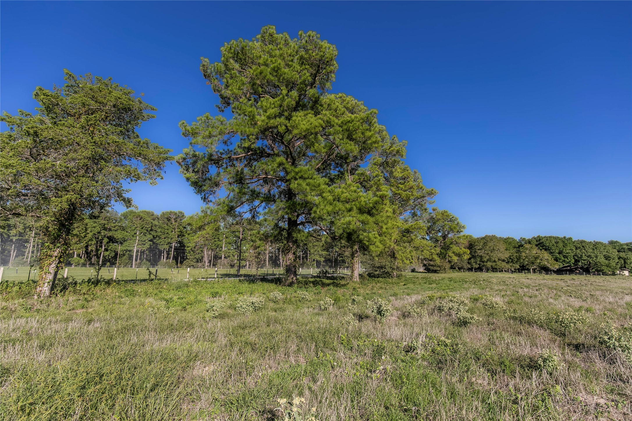 0 Nelius Road Bellville, TX 77418 - Photo 7 of 9
