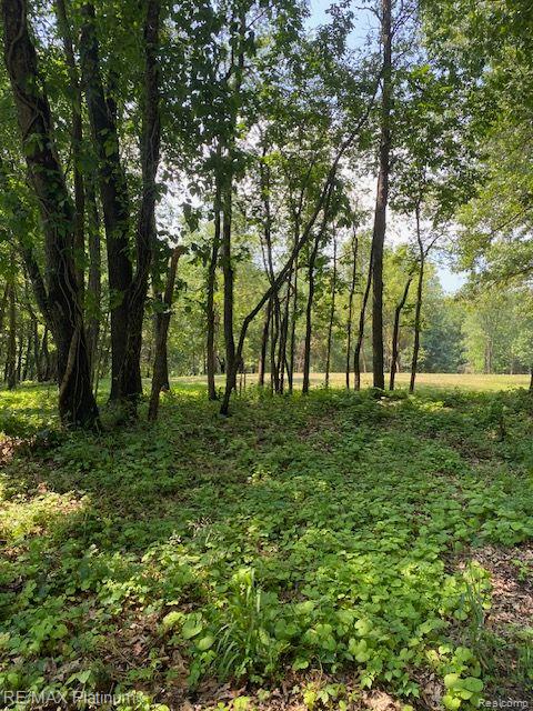 7 Sleaford-parcel 7 - 2 Acres Road Howell, MI 48843 - Photo 30 of 45