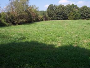 Lot#2 West Allens Bridge Road, Unit 2 Greeneville, TN 37743 - Photo 1 of 1 Photo 1