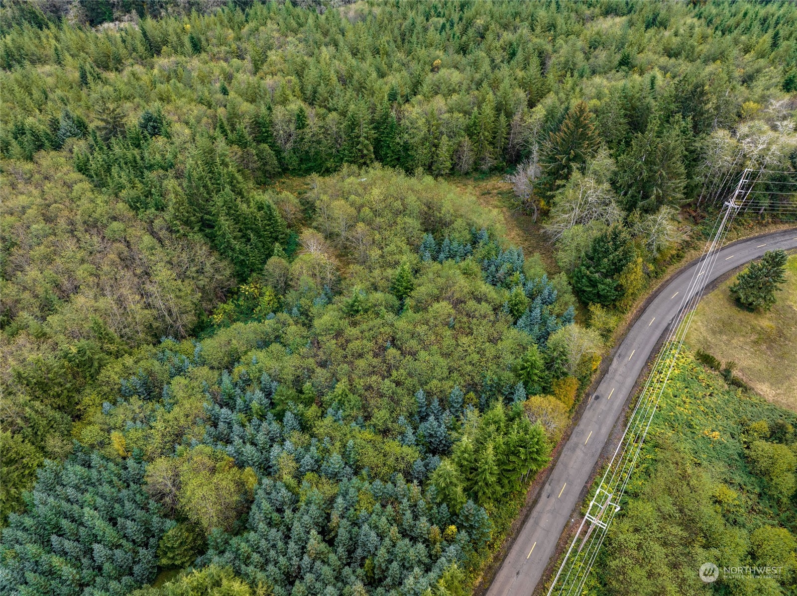 X Raymond South Bend Road Raymond, WA 98577 - Photo 11 of 11 Gallery Image 11