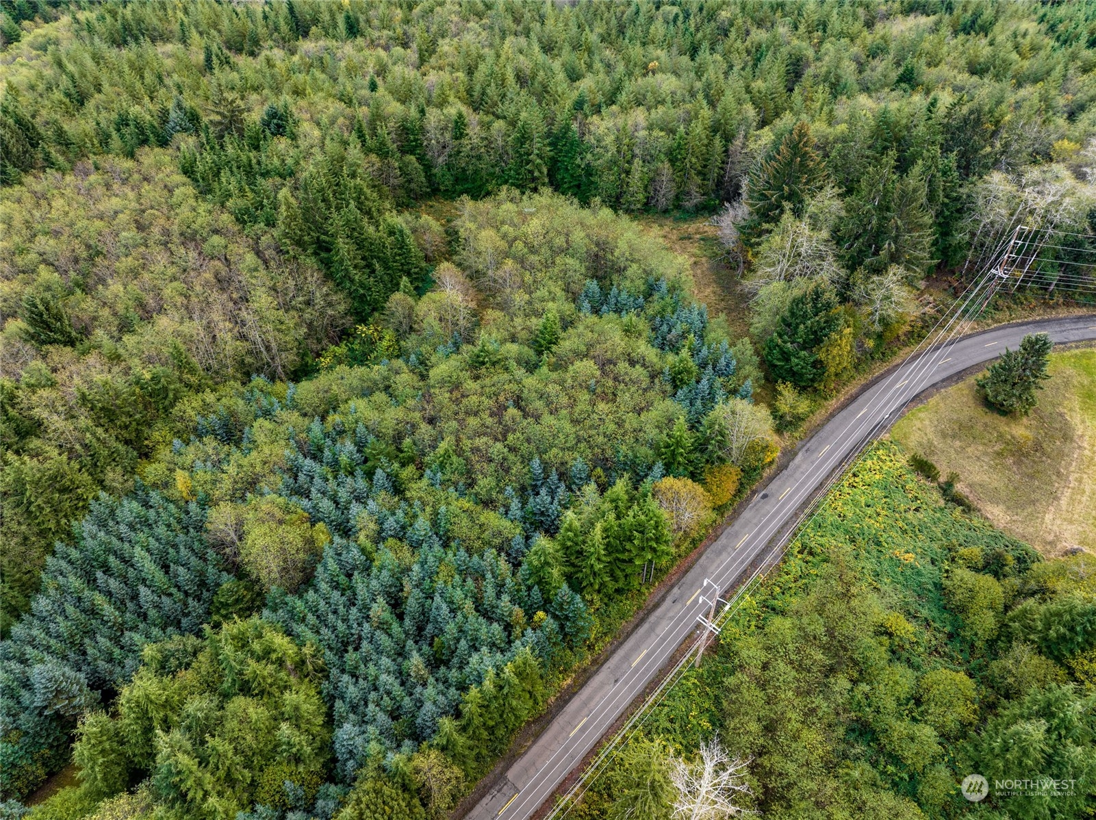 X Raymond South Bend Road Raymond, WA 98577 - Photo 5 of 11 Gallery Image 5