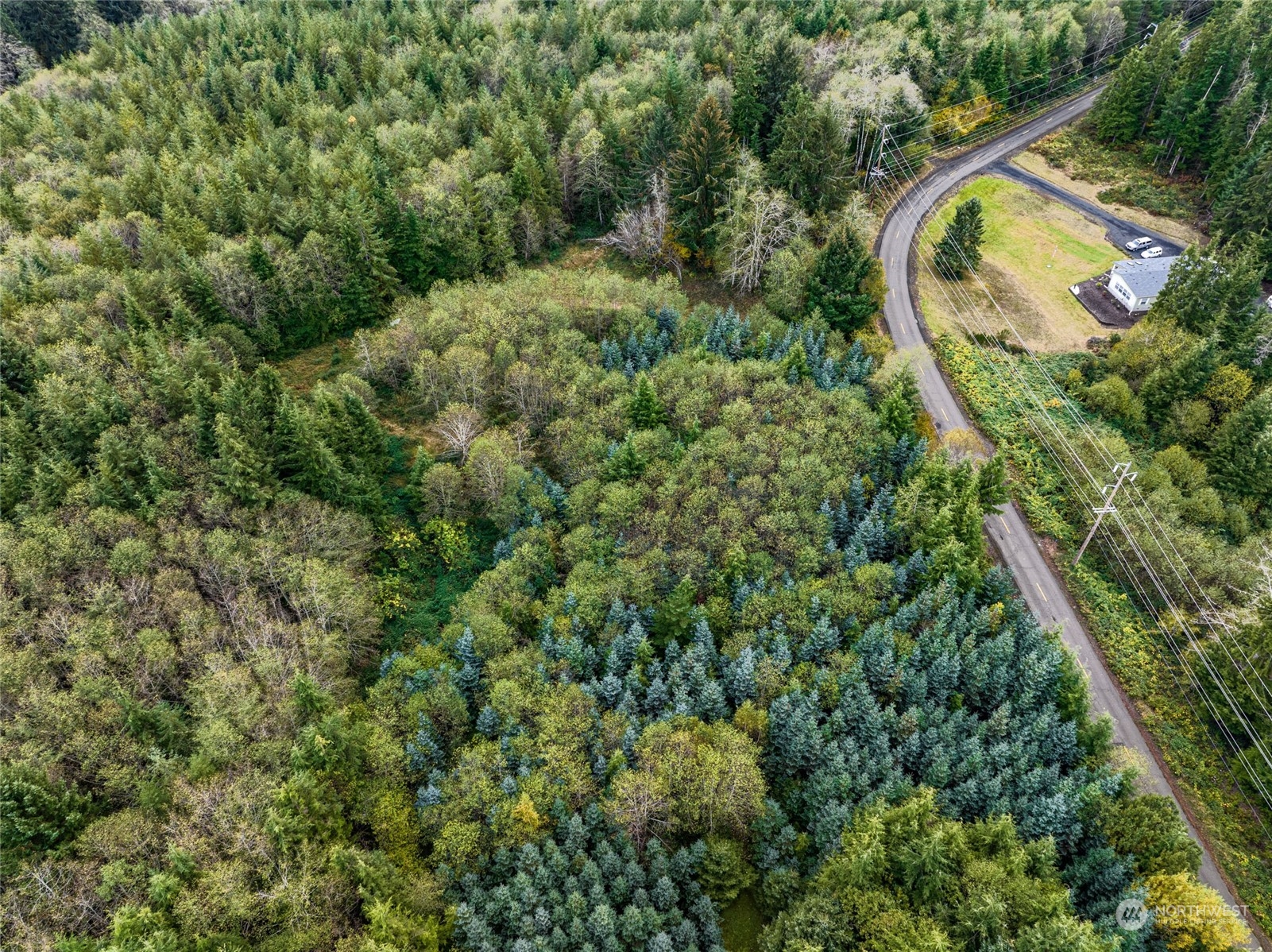 X Raymond South Bend Road Raymond, WA 98577 - Photo 6 of 11 Gallery Image 6