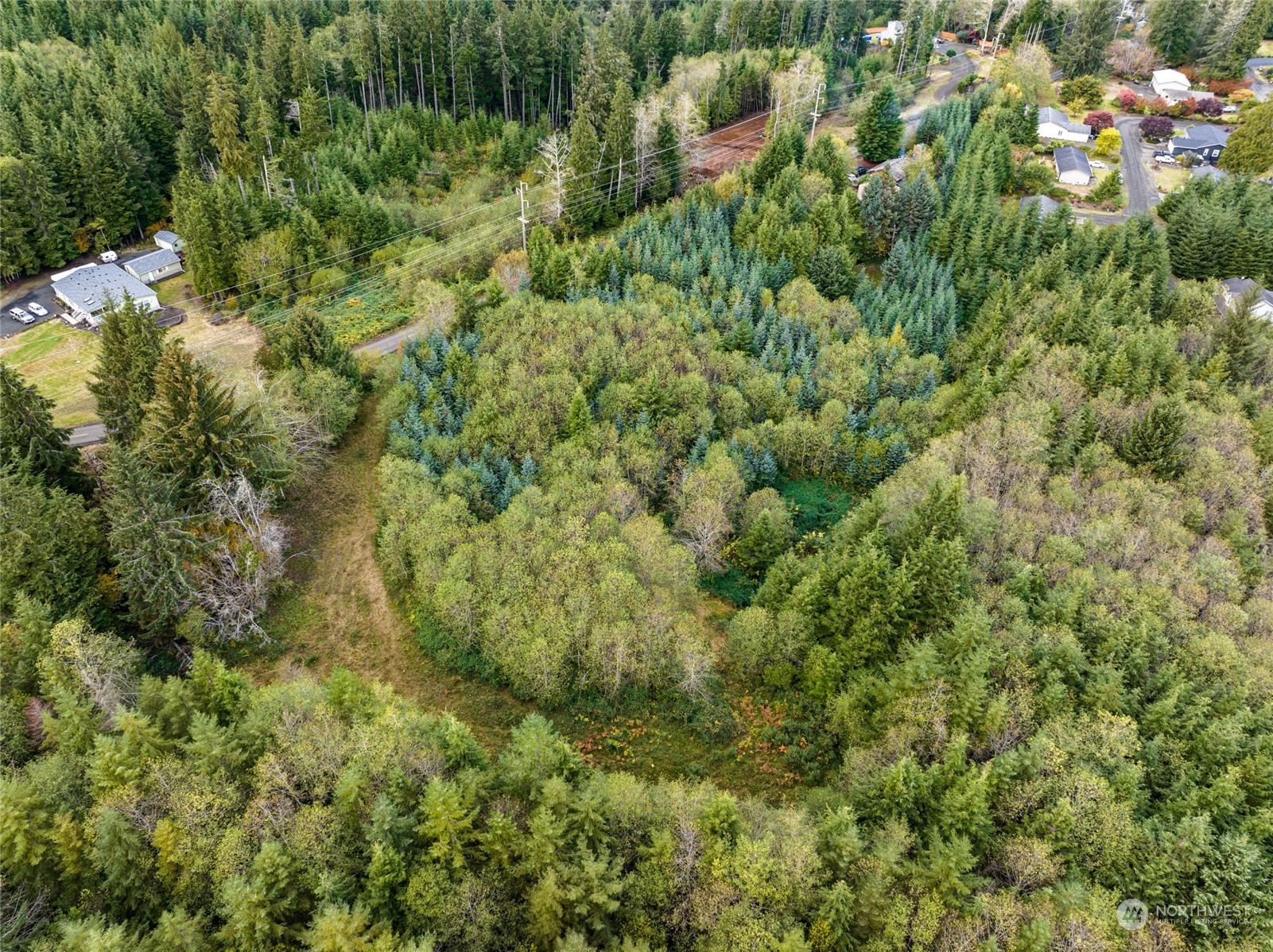X Raymond South Bend Road Raymond, WA 98577 - Photo 7 of 11 Gallery Image 7