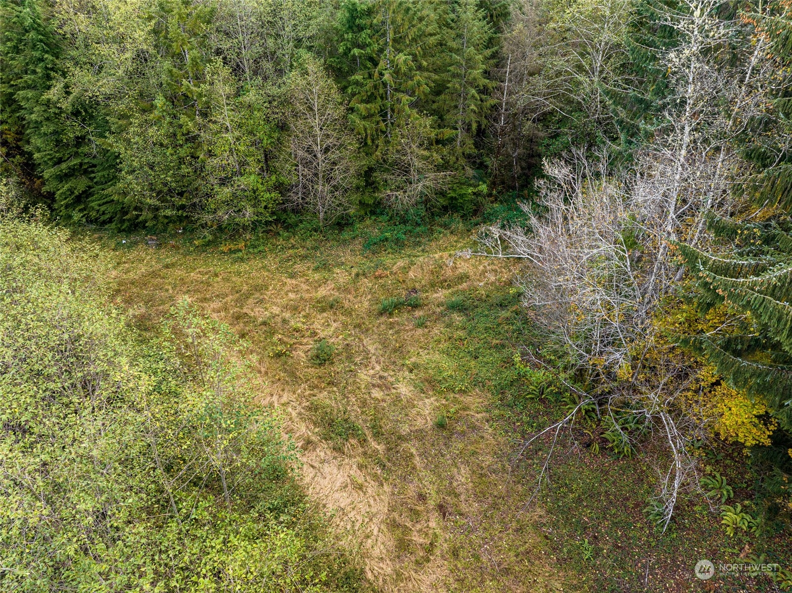 X Raymond South Bend Road Raymond, WA 98577 - Photo 9 of 11 Gallery Image 9