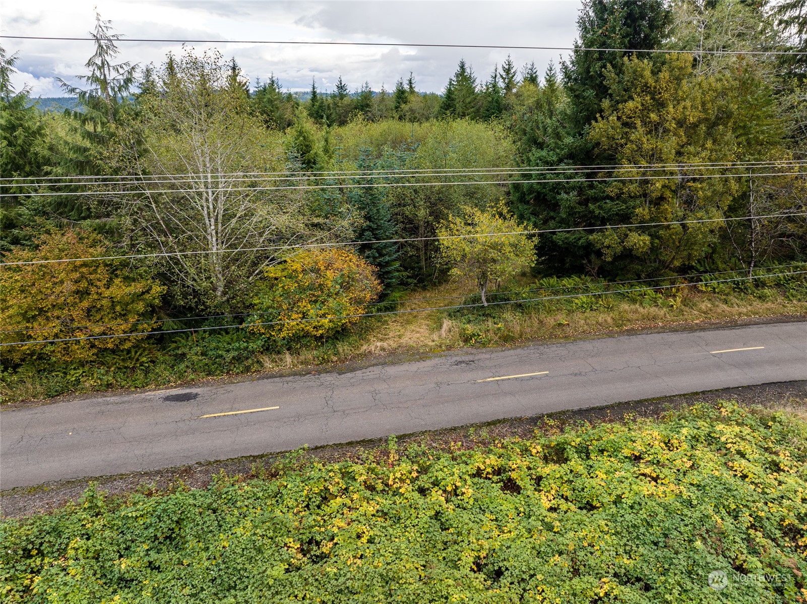 X Raymond South Bend Road Raymond, WA 98577 - Photo 10 of 11 Gallery Image 10