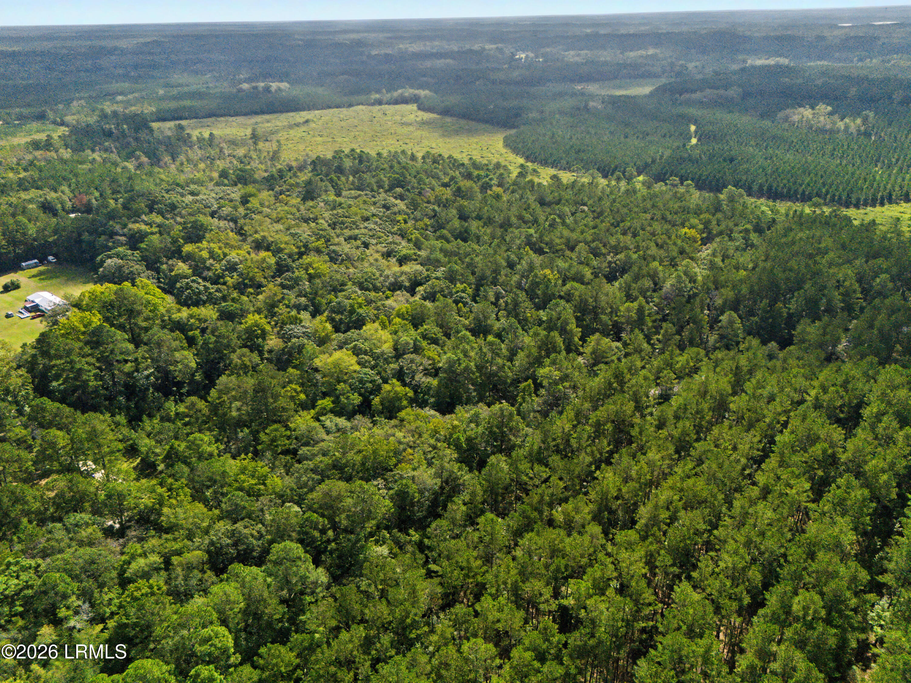 0 Tree Farm Road Walterboro, SC 29488 - Photo 25 of 30 DJI_20260921230354_0332_D