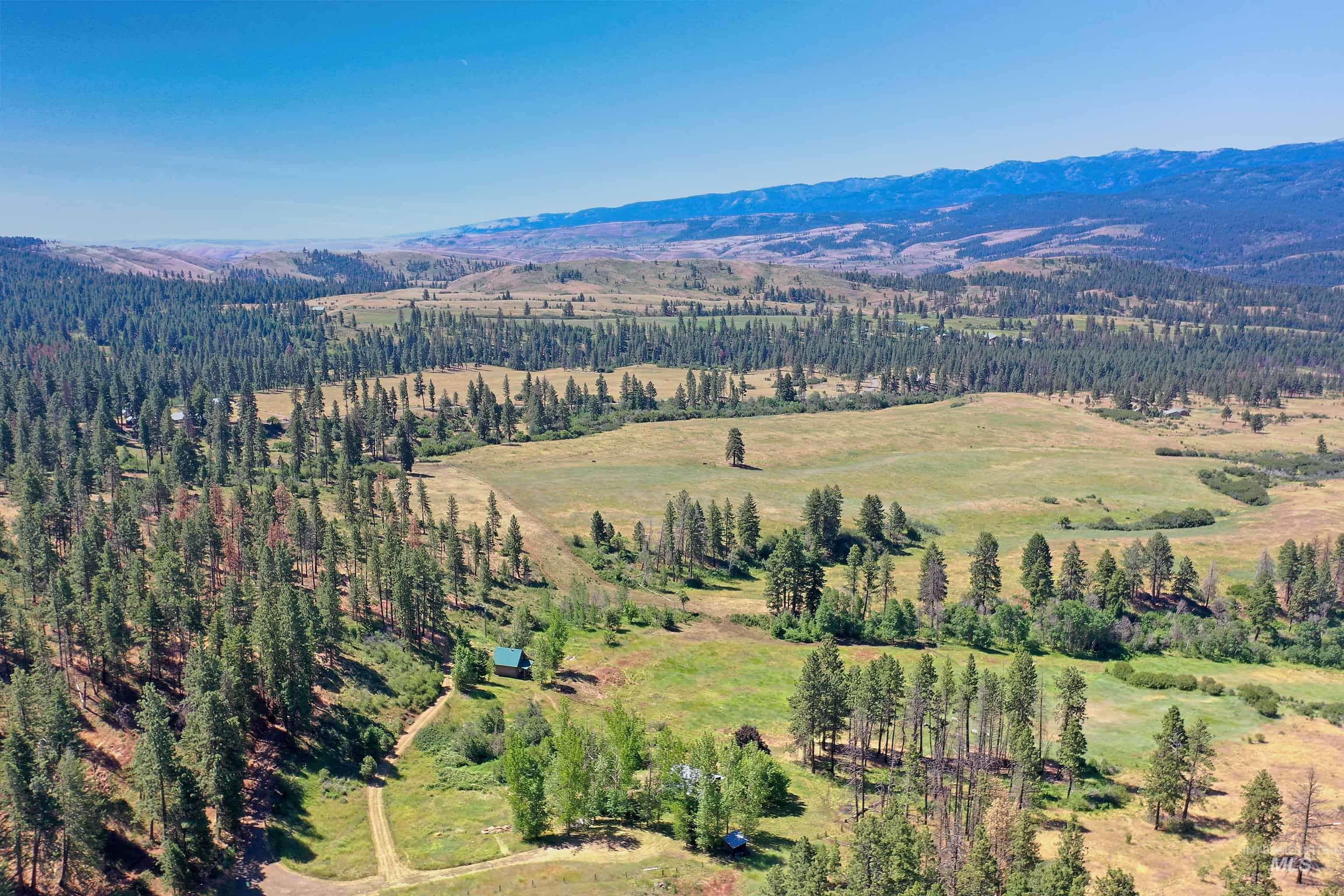 2150 Seid Creek Road Cambridge, ID 83610 - Photo 1 of 50 Expansive natural landscape featuring dense evergreen forests and open grassy meadows