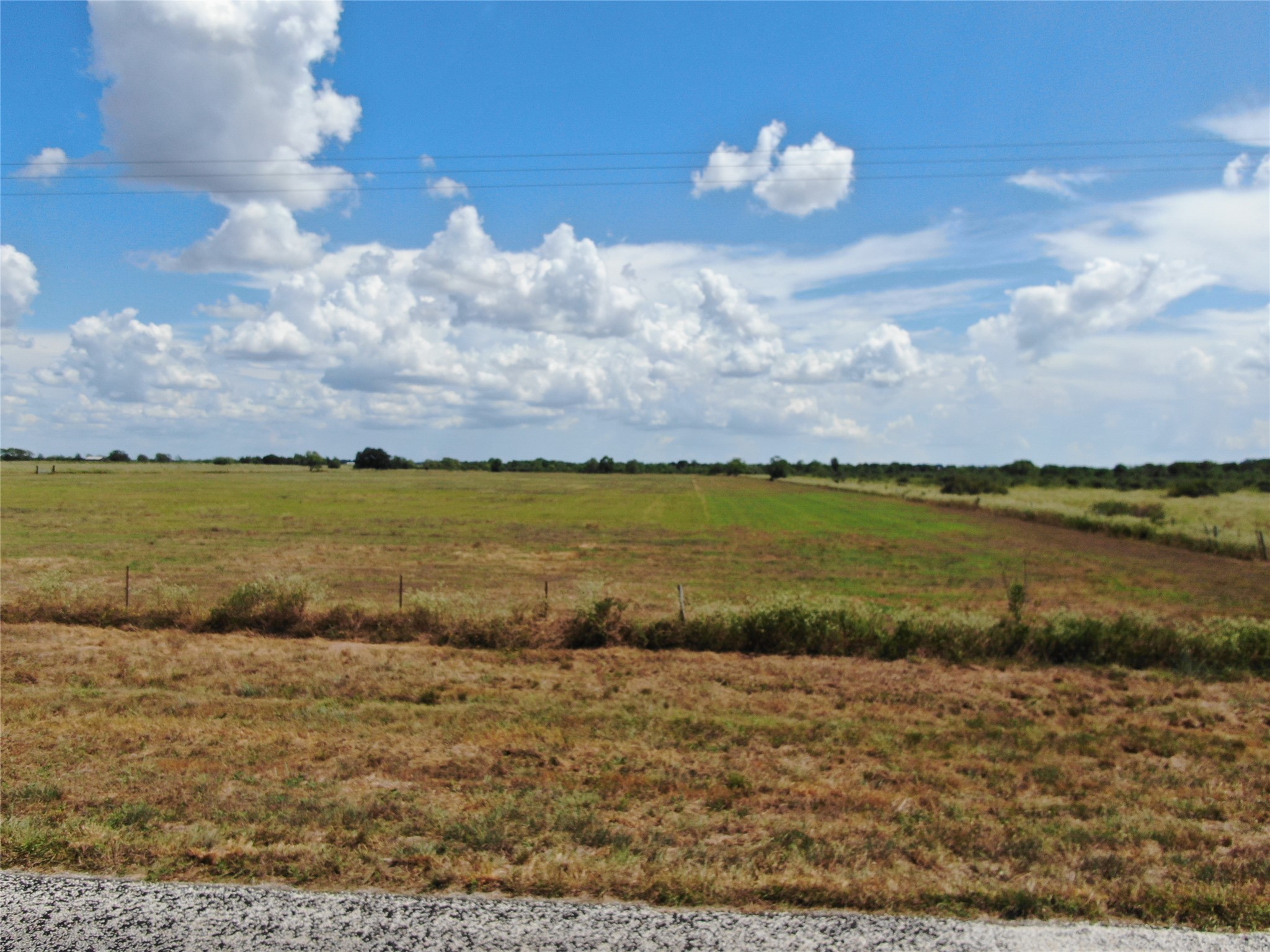 2761 FM 2761 Road Cat Spring, TX 78933 - Photo 2 of 15 Gallery Image 2