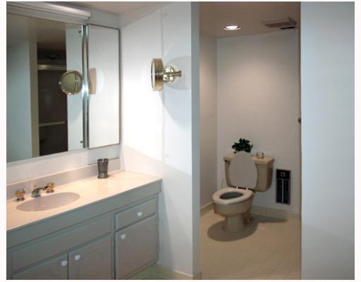 1500 Cochran Road, Unit 814 Pittsburgh, PA 15243 - Photo 8 of 13 Master Bath/Spa.