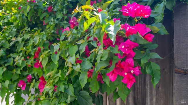 a view of a house with backyard and garden
