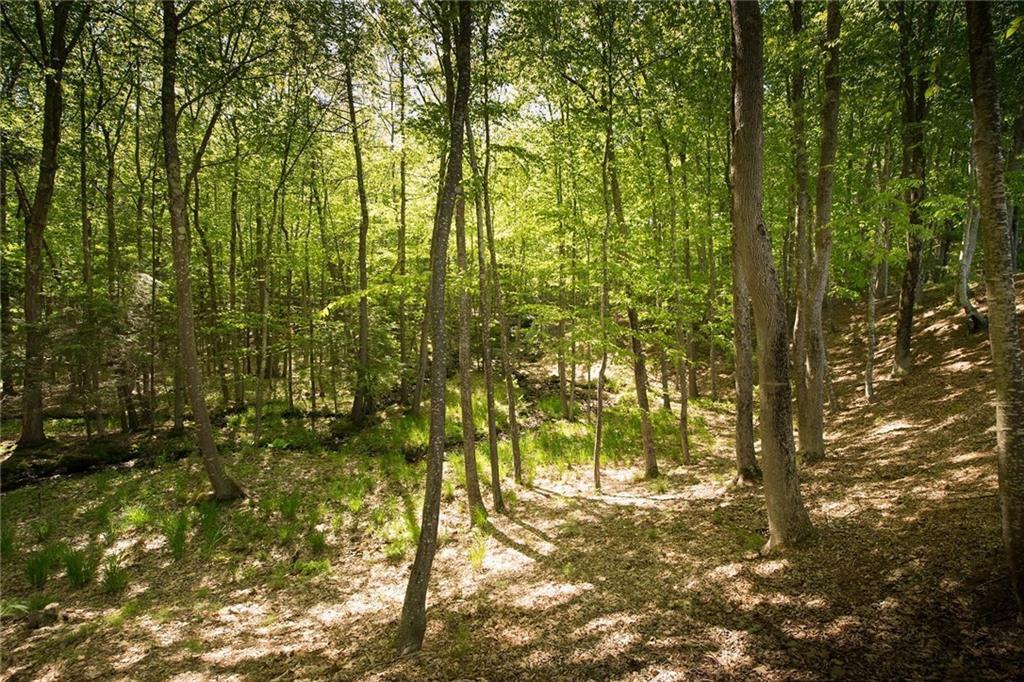 323 Clay Hill Road Cape Neddick, ME 03902 - Photo 19 of 19 Photo