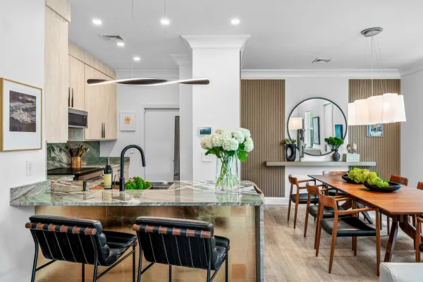 a dining room with furniture a potted plant and a chandelier