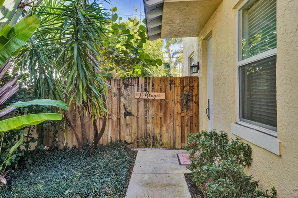 a view of a backyard with plants