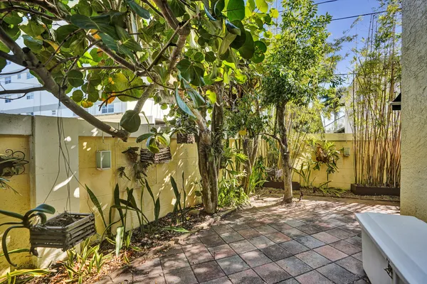 a view of a backyard