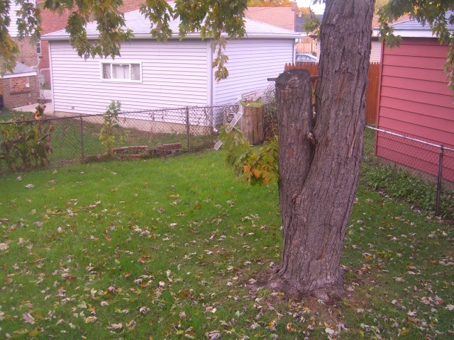 5030 West 64th Place Chicago, IL 60638 - Photo 14 of 14