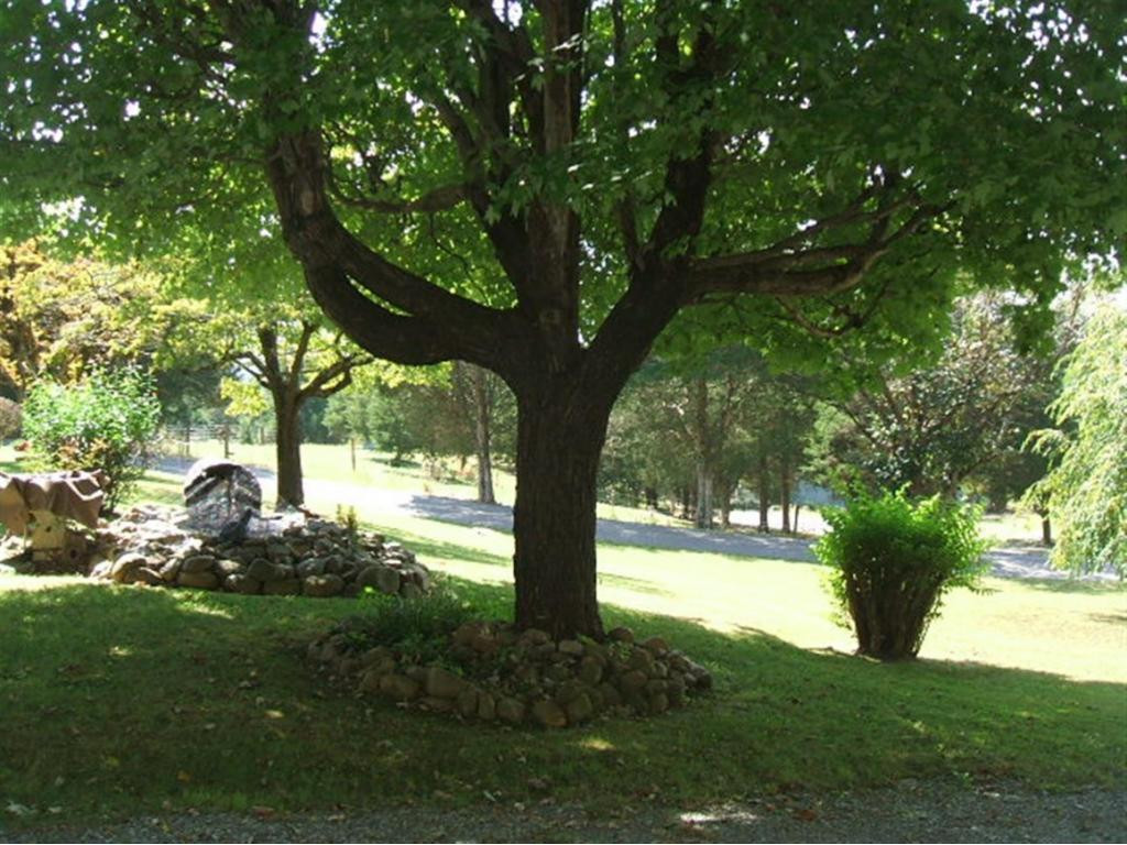 495 Timber Ridge Road Bluff City, TN 37618 - Photo 31 of 33 Photo 31