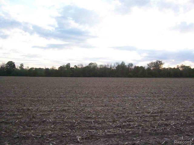 78175 Brown Road Romeo, MI 48065 - Photo 1 of 1 Property Photo