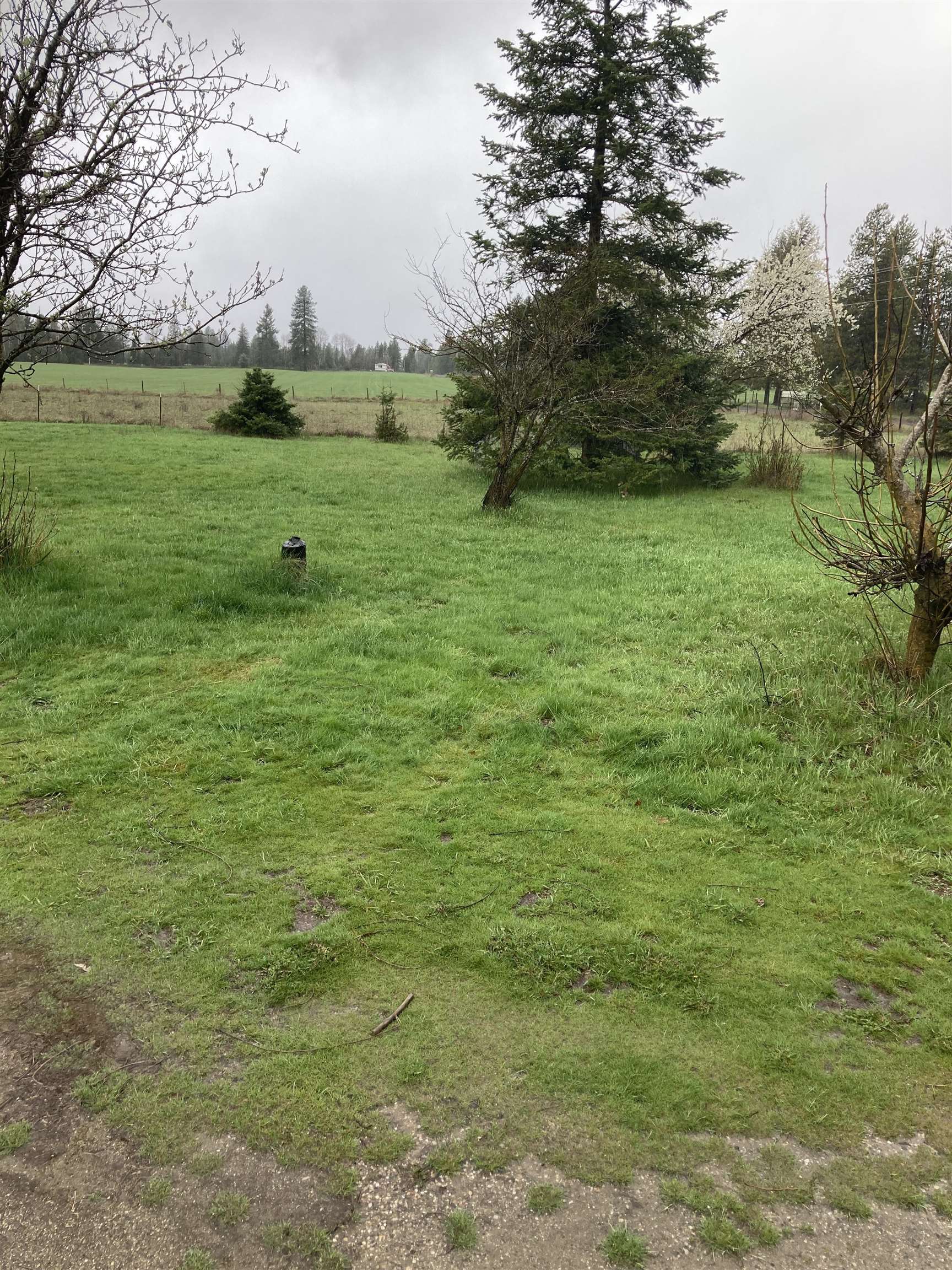 11918 East Bridges Road Elk, WA 99009 - Photo 6 of 6