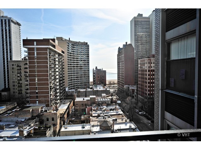 30 East Elm Street, Unit 14A Chicago, IL 60611 - Photo 11 of 12