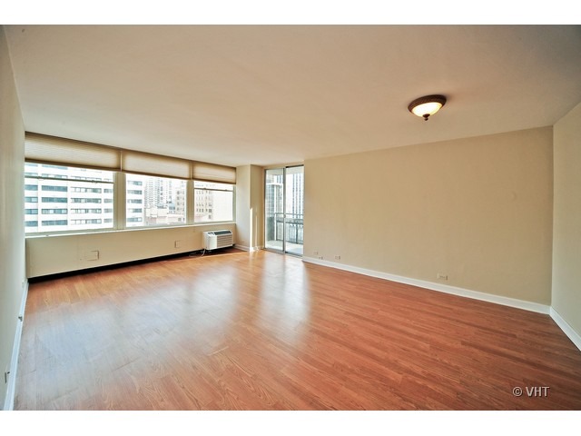 30 East Elm Street, Unit 14A Chicago, IL 60611 - Photo 3 of 12