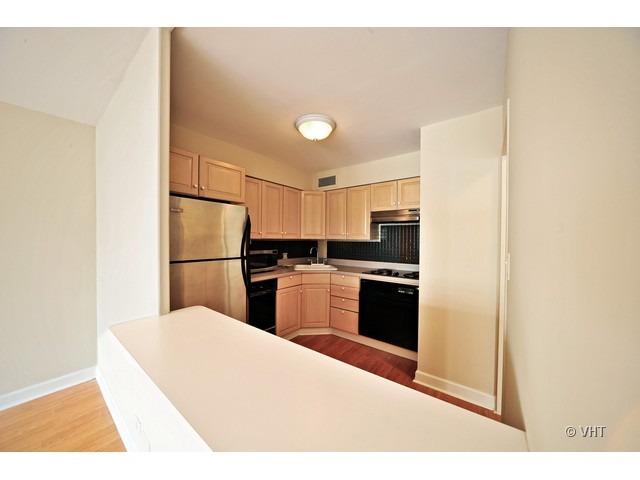 30 East Elm Street, Unit 14A Chicago, IL 60611 - Photo 5 of 12