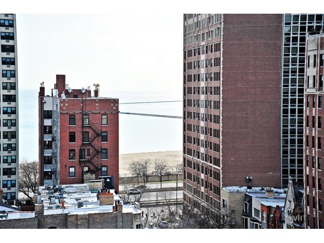 30 East Elm Street, Unit 14A Chicago, IL 60611 - Photo 10 of 12
