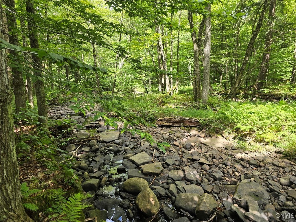 2898 Potter Road Osceola, NY 13437 - Photo 24 of 35