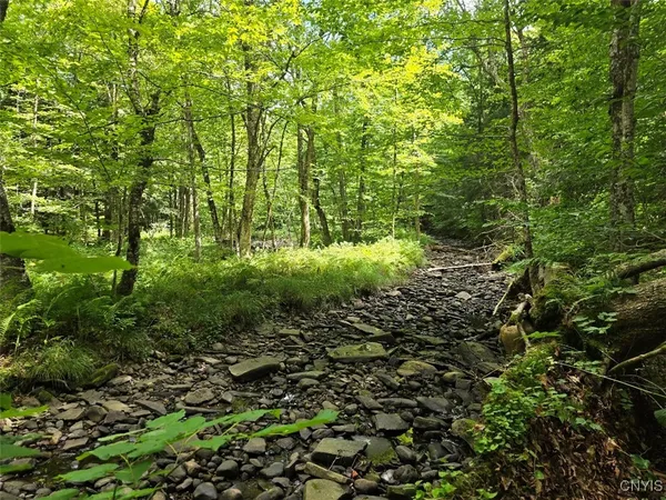 $119,000 | 2898 Potter Road, Osceola, NY 13437