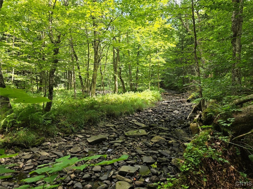 2898 Potter Road Osceola, NY 13437 - Photo 25 of 35