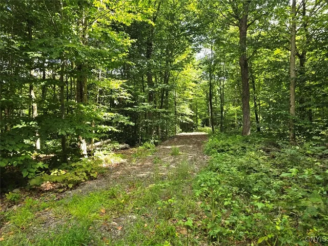 $119,000 | 2898 Potter Road, Osceola, NY 13437