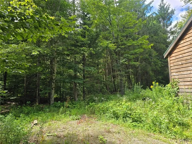 $119,000 | 2898 Potter Road, Osceola, NY 13437