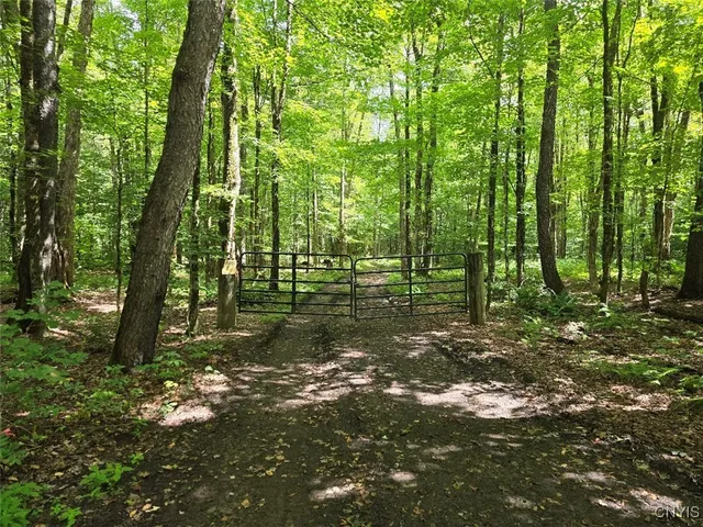 $119,000 | 2898 Potter Road, Osceola, NY 13437