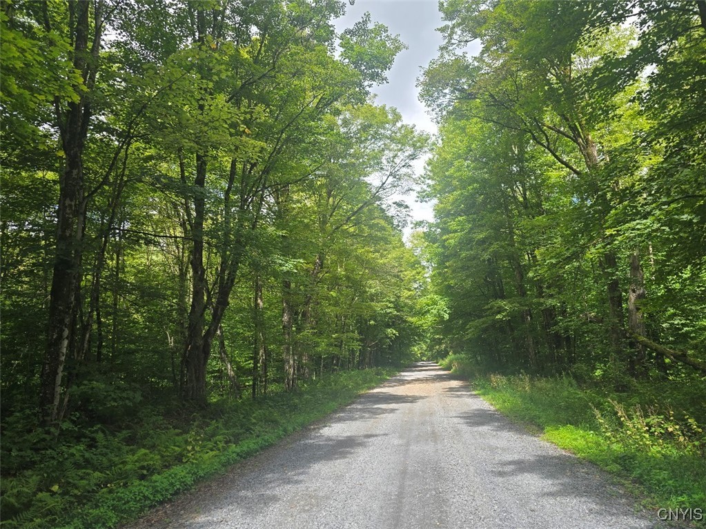 2898 Potter Road Osceola, NY 13437 - Photo 33 of 35