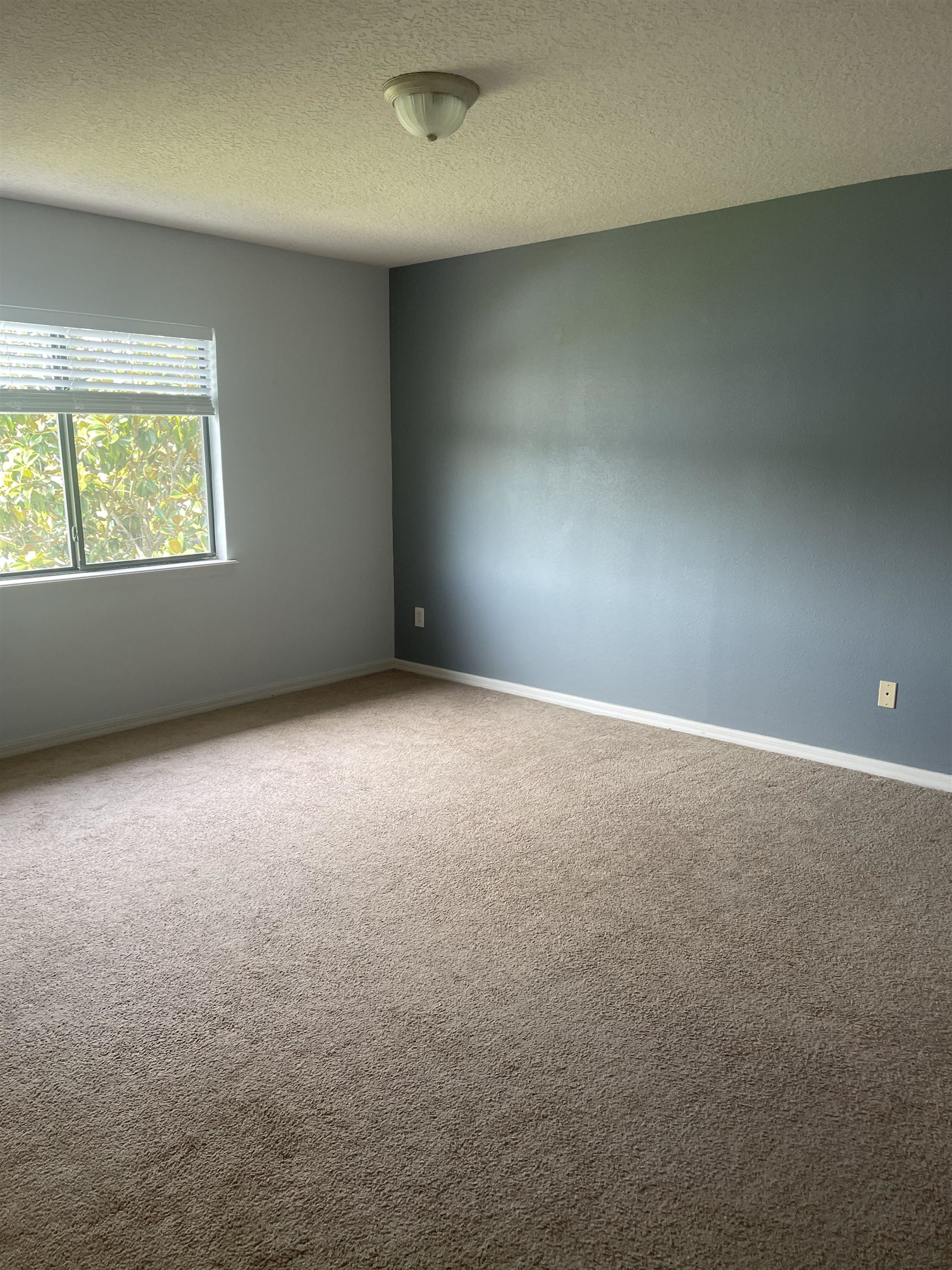 441 Cabernet Place St. Augustine, FL 32084 - Photo 12 of 16