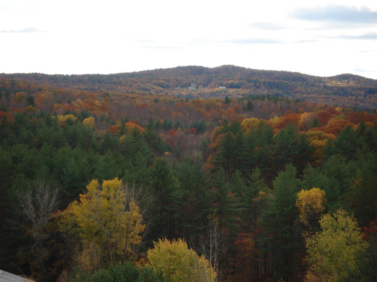 503 Glebe Road Westmoreland, NH 03467 - Photo 29 of 39