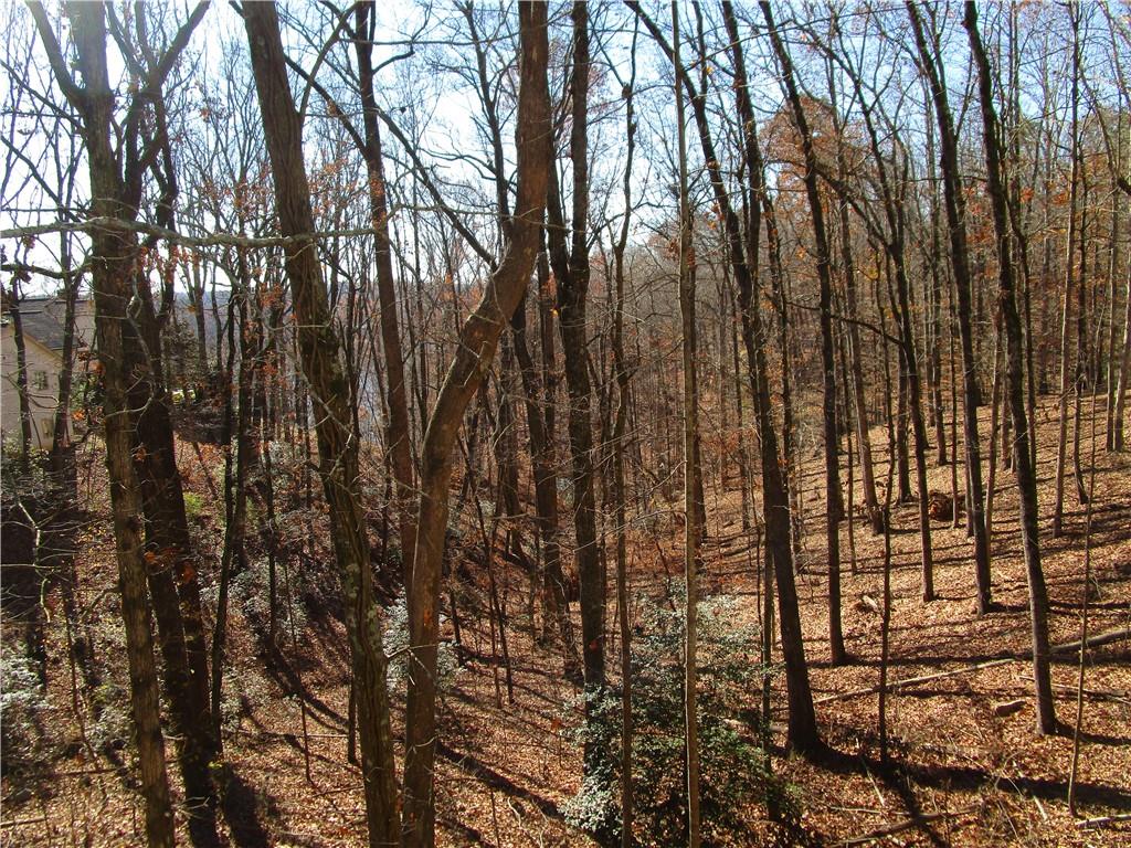 2429 Thompson Mill Road Gainesville, GA 30506 - Photo 50 of 52