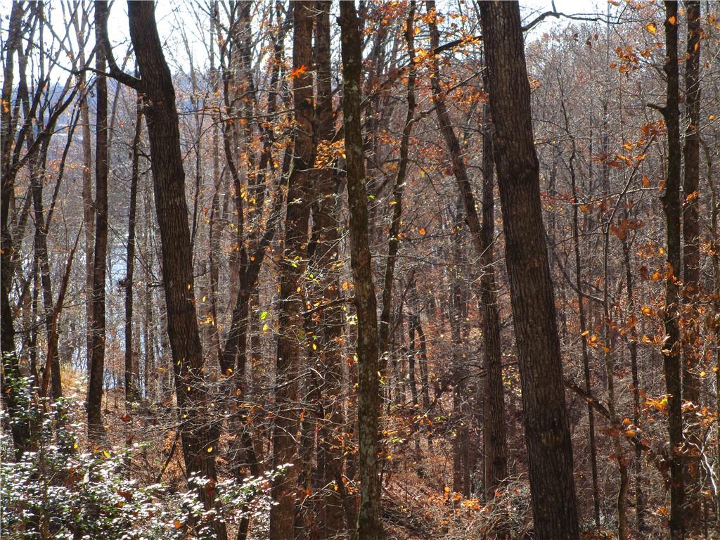 2429 Thompson Mill Road Gainesville, GA 30506 - Photo 51 of 52