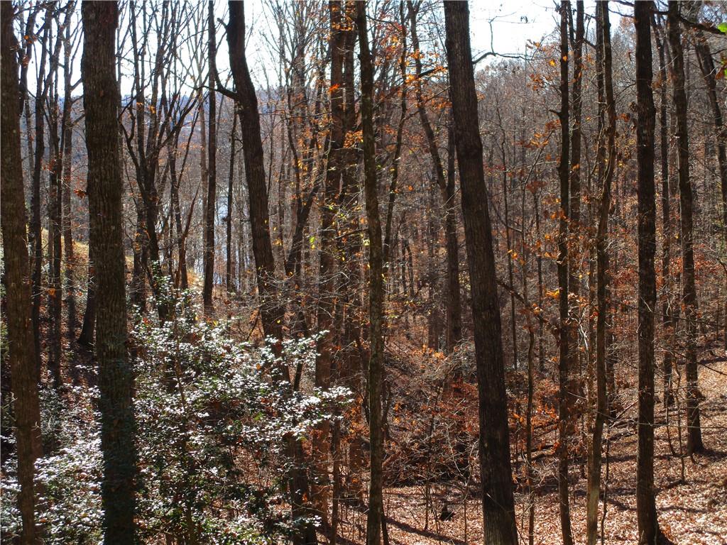 2429 Thompson Mill Road Gainesville, GA 30506 - Photo 52 of 52