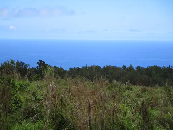 a view of sunset and green space