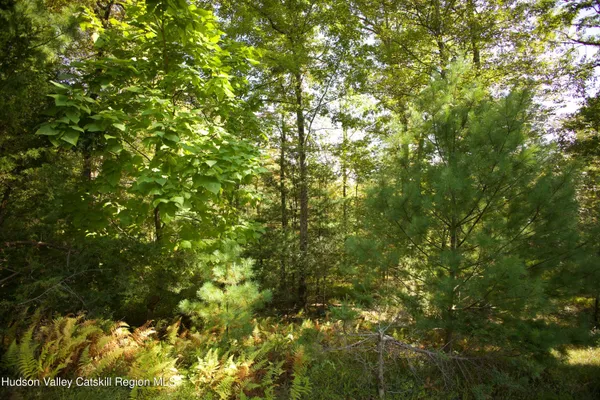 $558,000 | 121-115 Kelder Highway, Olivebridge, NY 12461