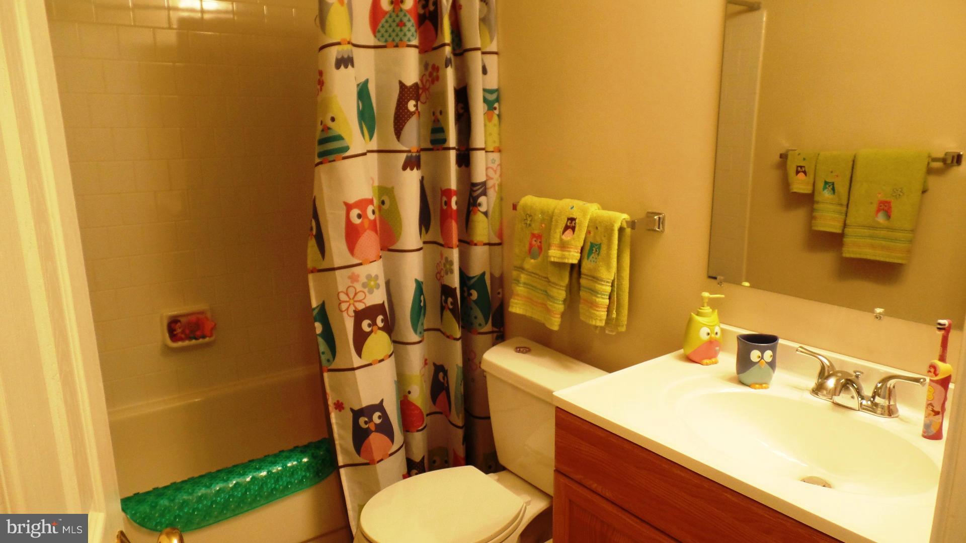 615 Hunting Ridge Drive Frederick, MD 21703 - Photo 11 of 13 Bath