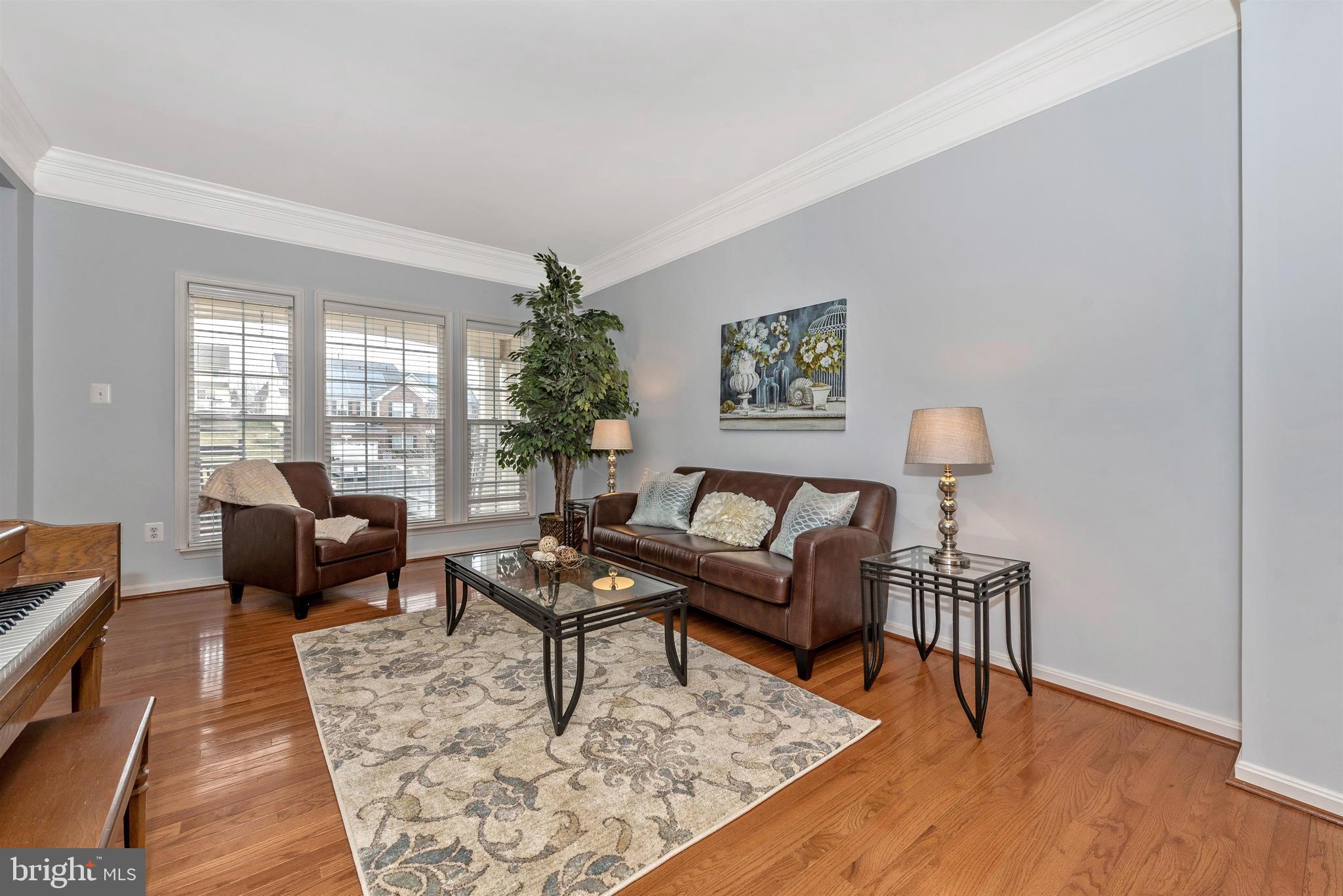 18304 Cornflower Road Boyds, MD 20841 - Photo 12 of 49 Living Room