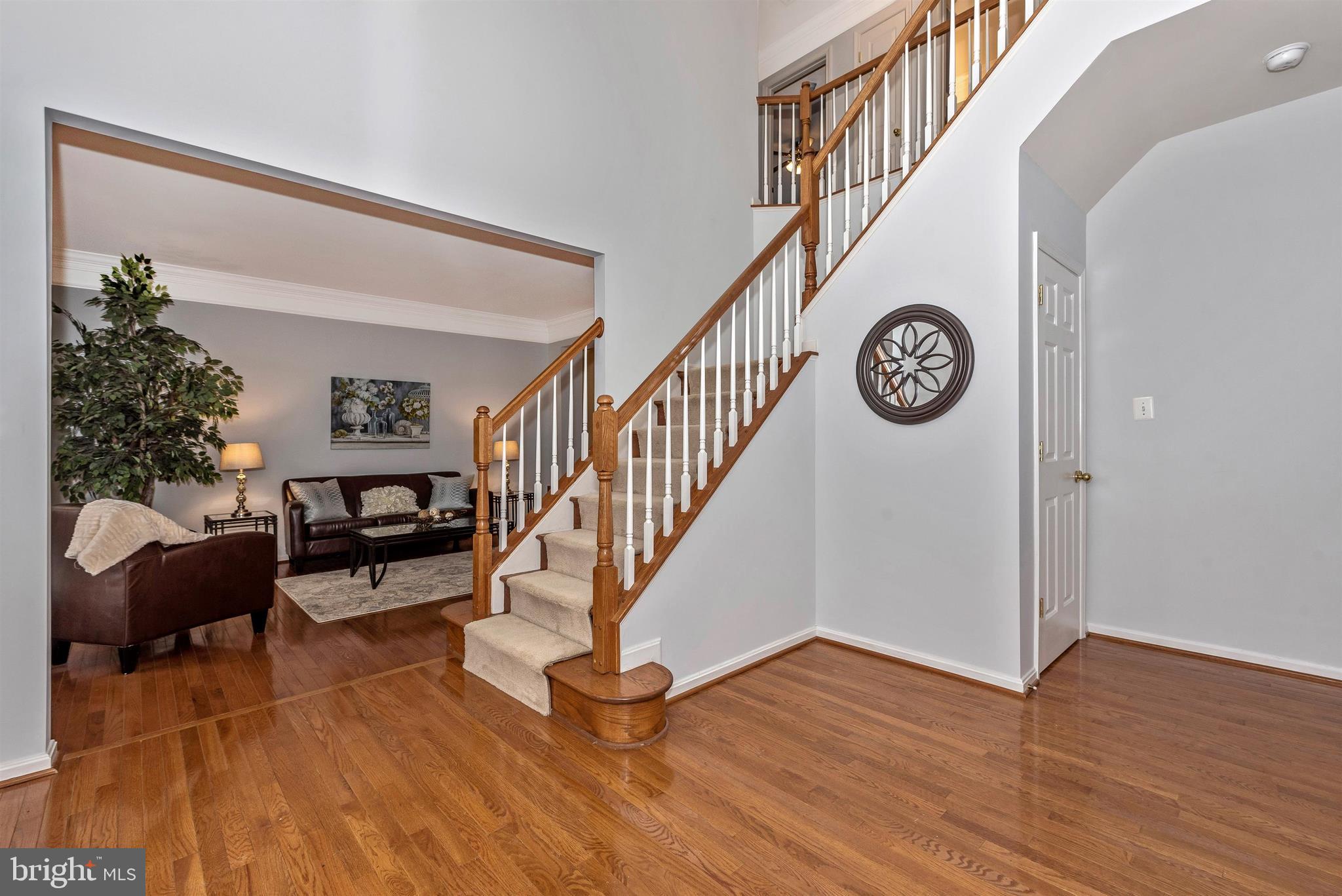 18304 Cornflower Road Boyds, MD 20841 - Photo 27 of 49 Beautiful foyer