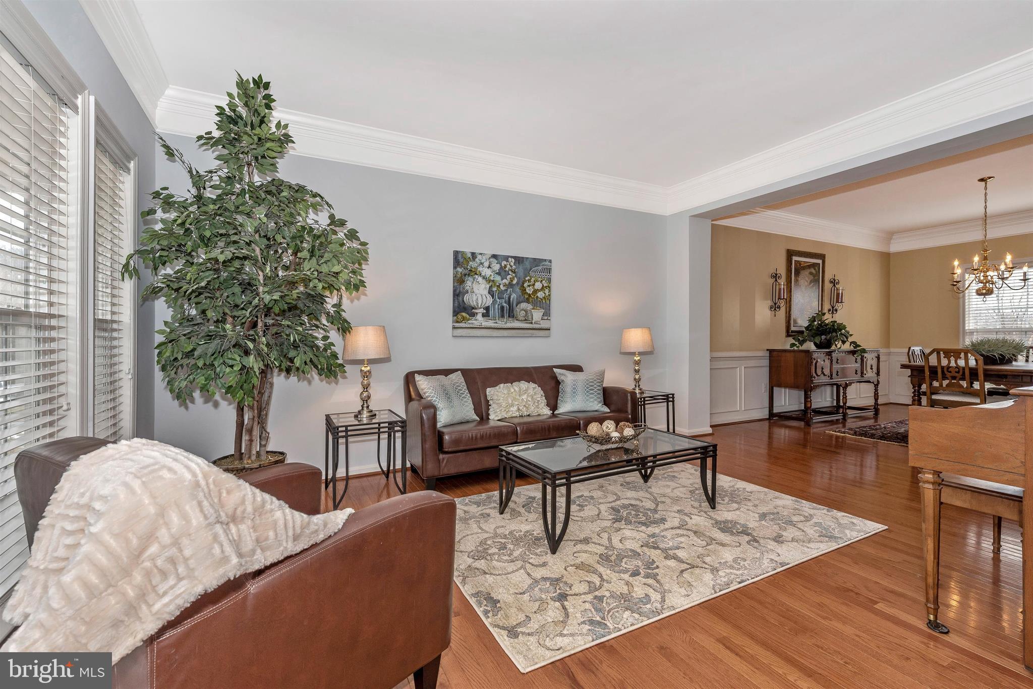 18304 Cornflower Road Boyds, MD 20841 - Photo 8 of 49 Formal living room