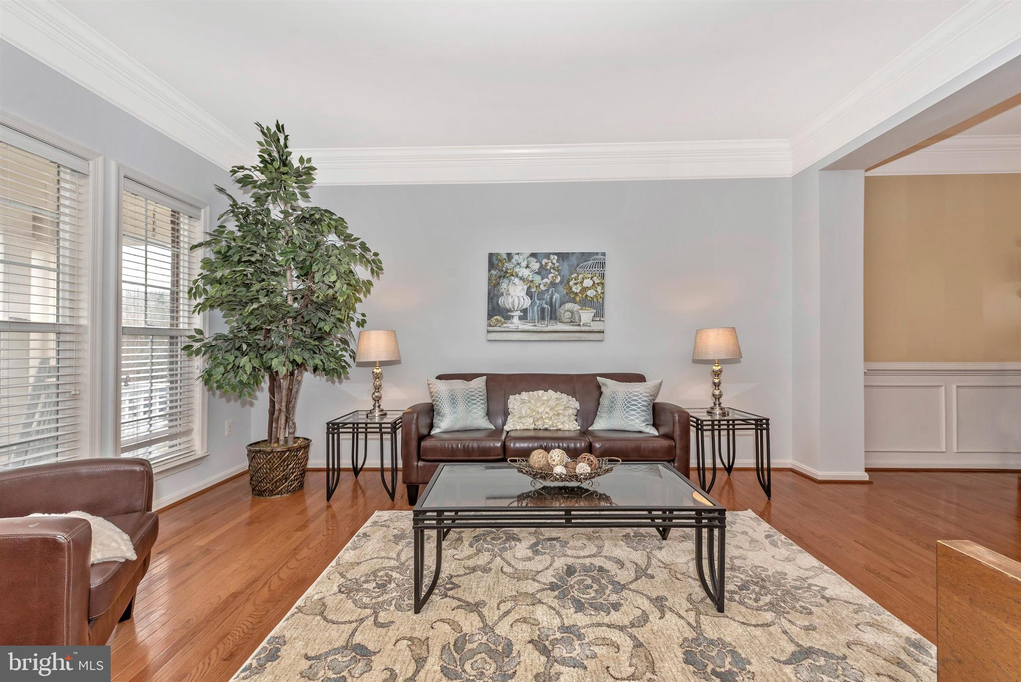 18304 Cornflower Road Boyds, MD 20841 - Photo 9 of 49 Living Room