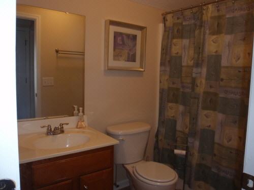337 Briarbend Road Goose Creek, SC 29445 - Photo 16 of 20 P10101~1