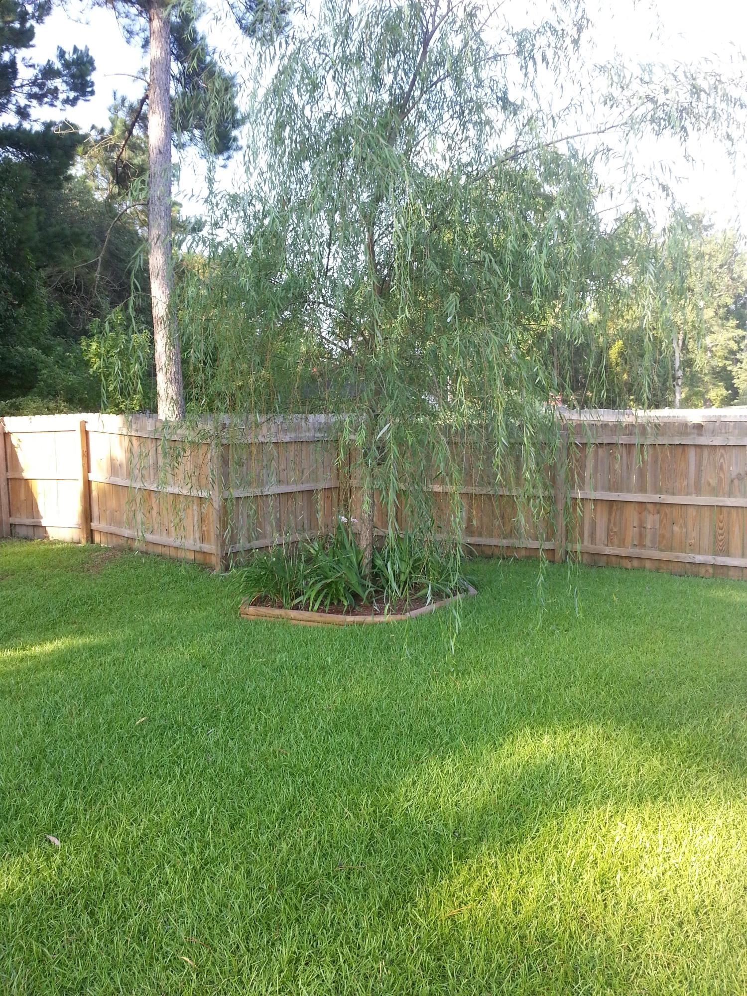 337 Briarbend Road Goose Creek, SC 29445 - Photo 20 of 20 20140717_083529