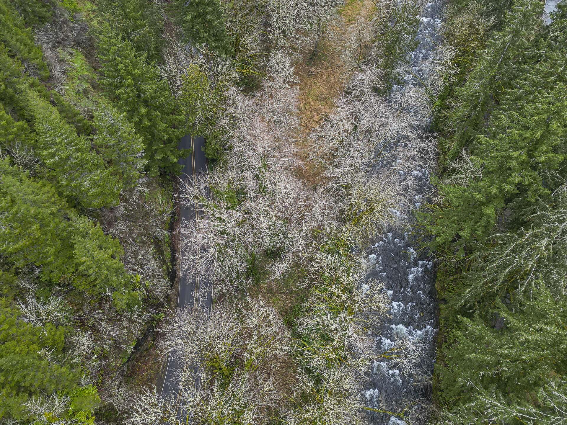 400 North Slick Rock Creek Road Otis, OR 97368 - Photo 5 of 20 Drone- View of Lot